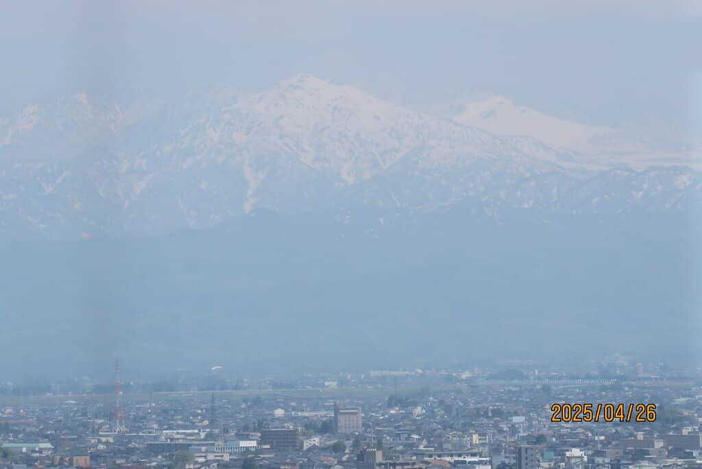 Riverside Cherry Blossoms