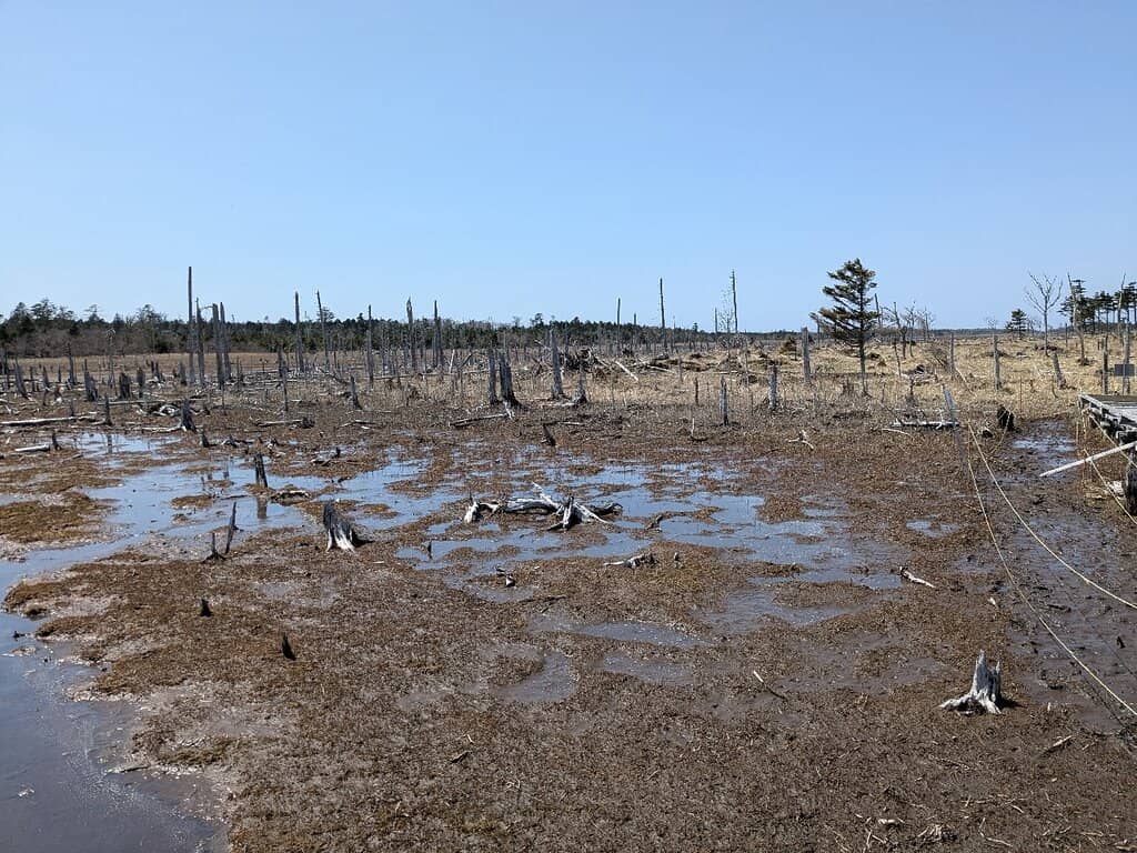 End-of-the-World Atmosphere