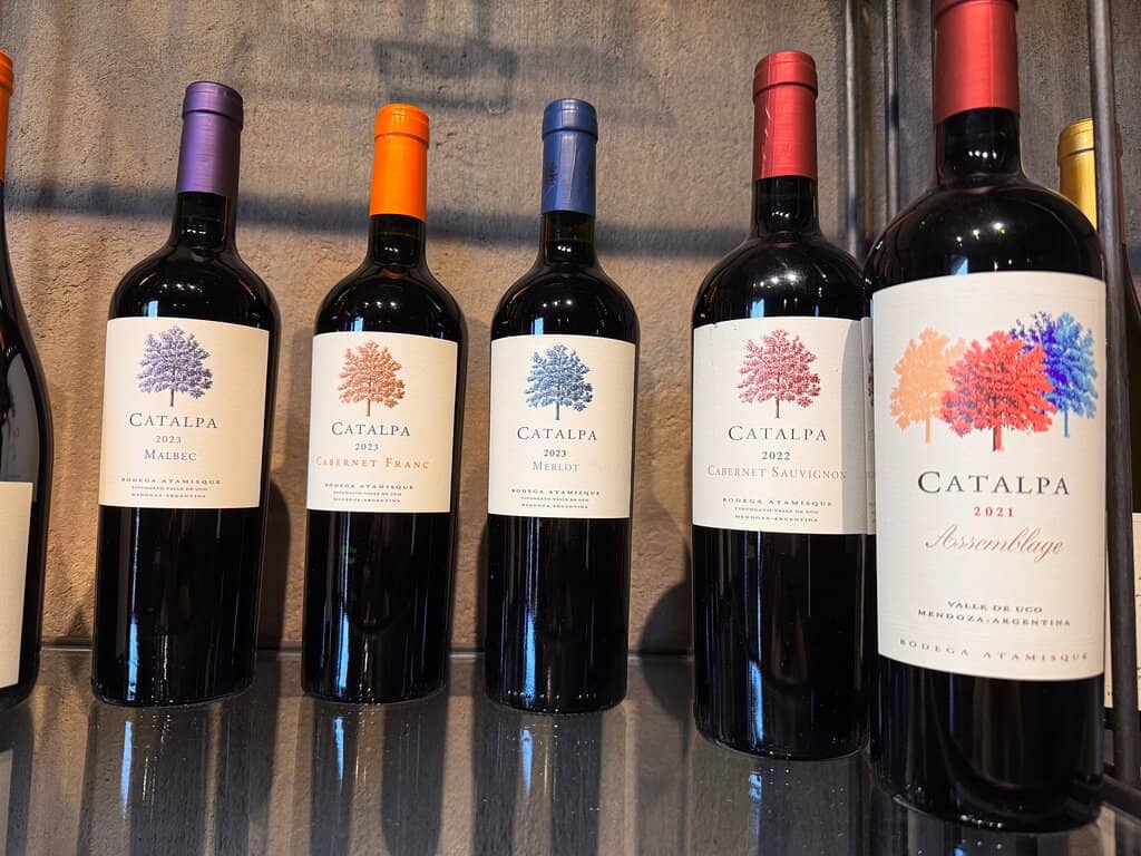 Equestrian Adventures