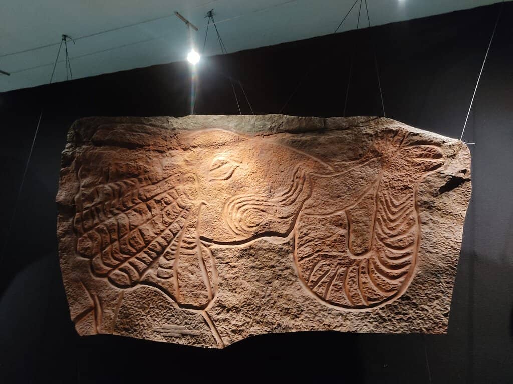 Prehistoric Rock Art Casts