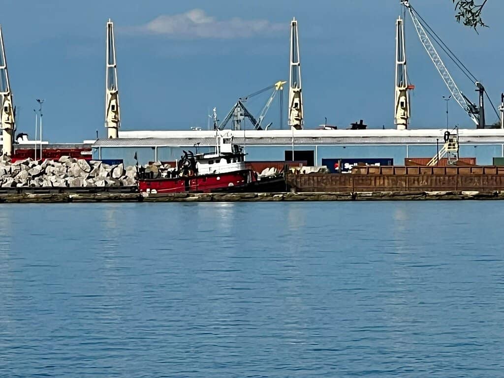 Monarch Butterfly Migration Spot