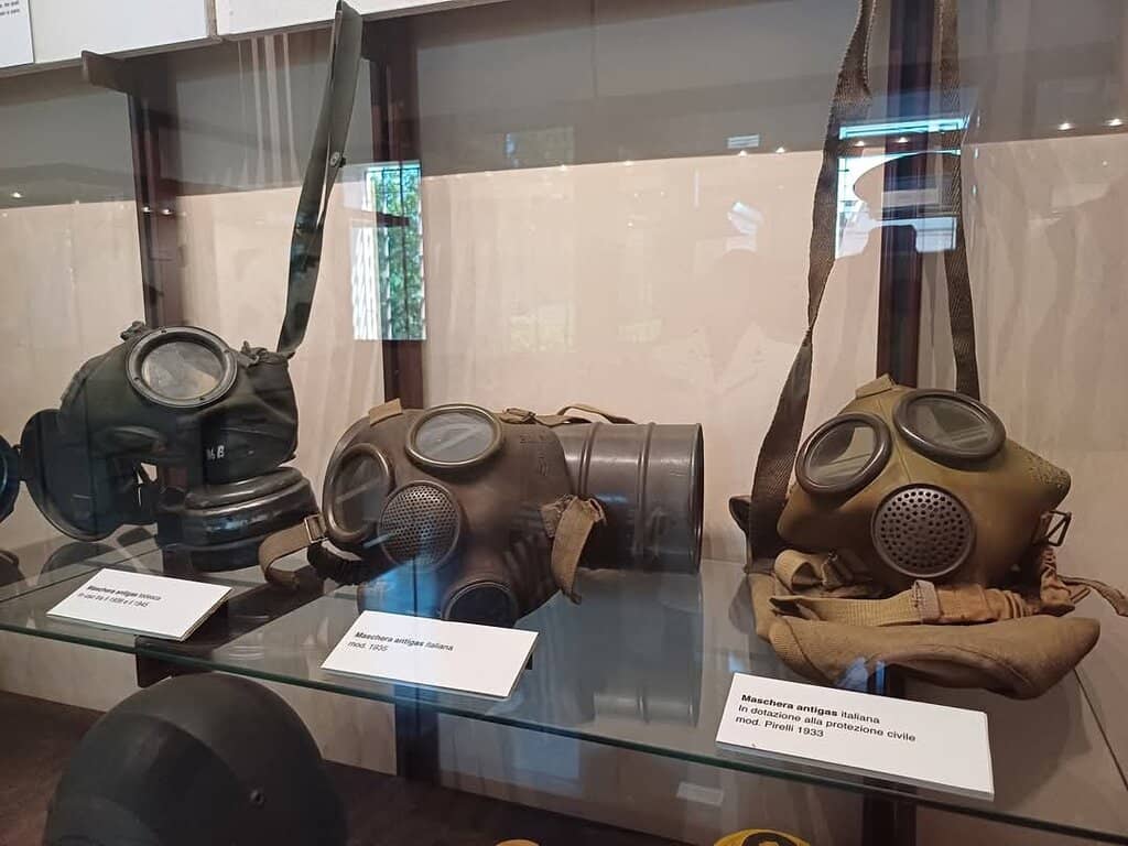 Peaceful Park Setting