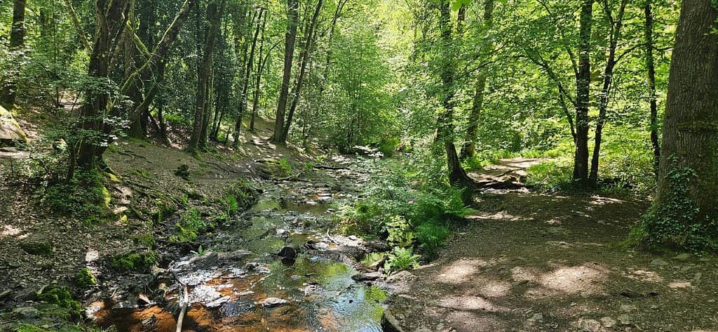 Mirror of the Fairies Pond