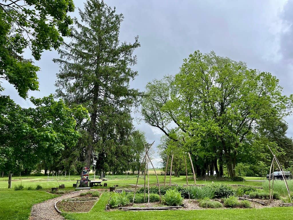 Elegant Special Occasion Dining