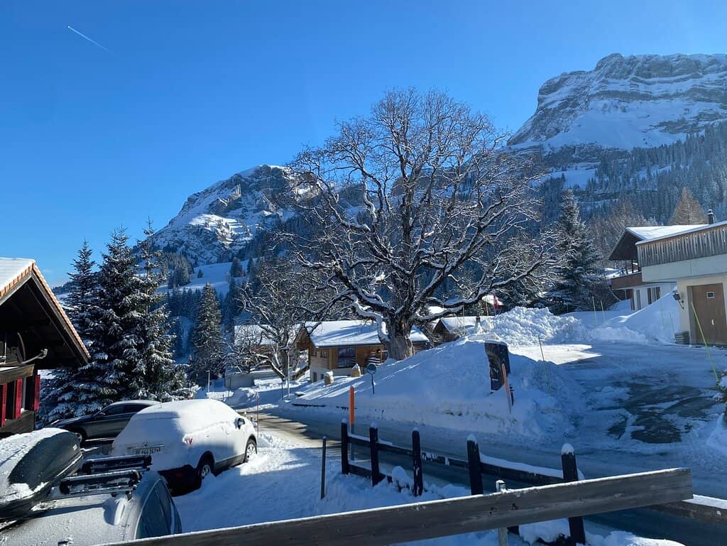 Alpine Village Serenity