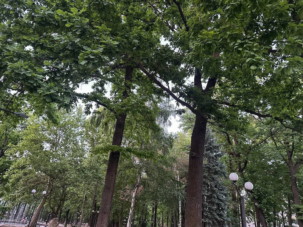 Open-Air Sculpture Exhibition