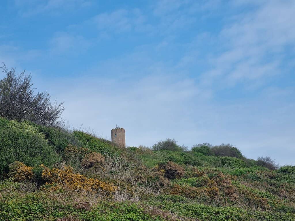 Fossil Hunting on the Beach