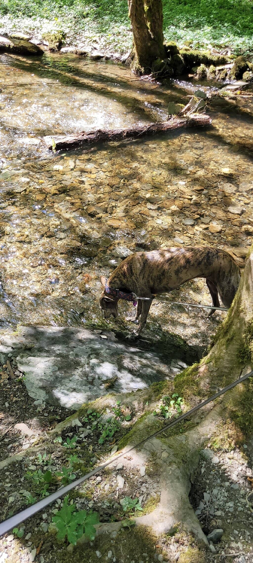 Watermills and Brookside Trails