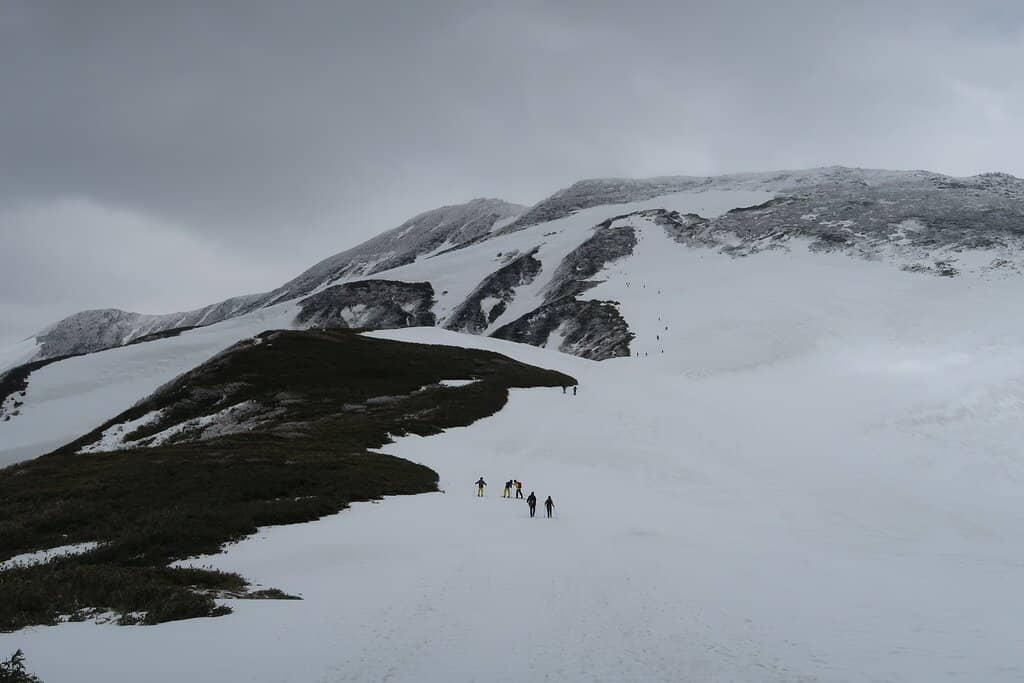 Fall Foliage Spectacle