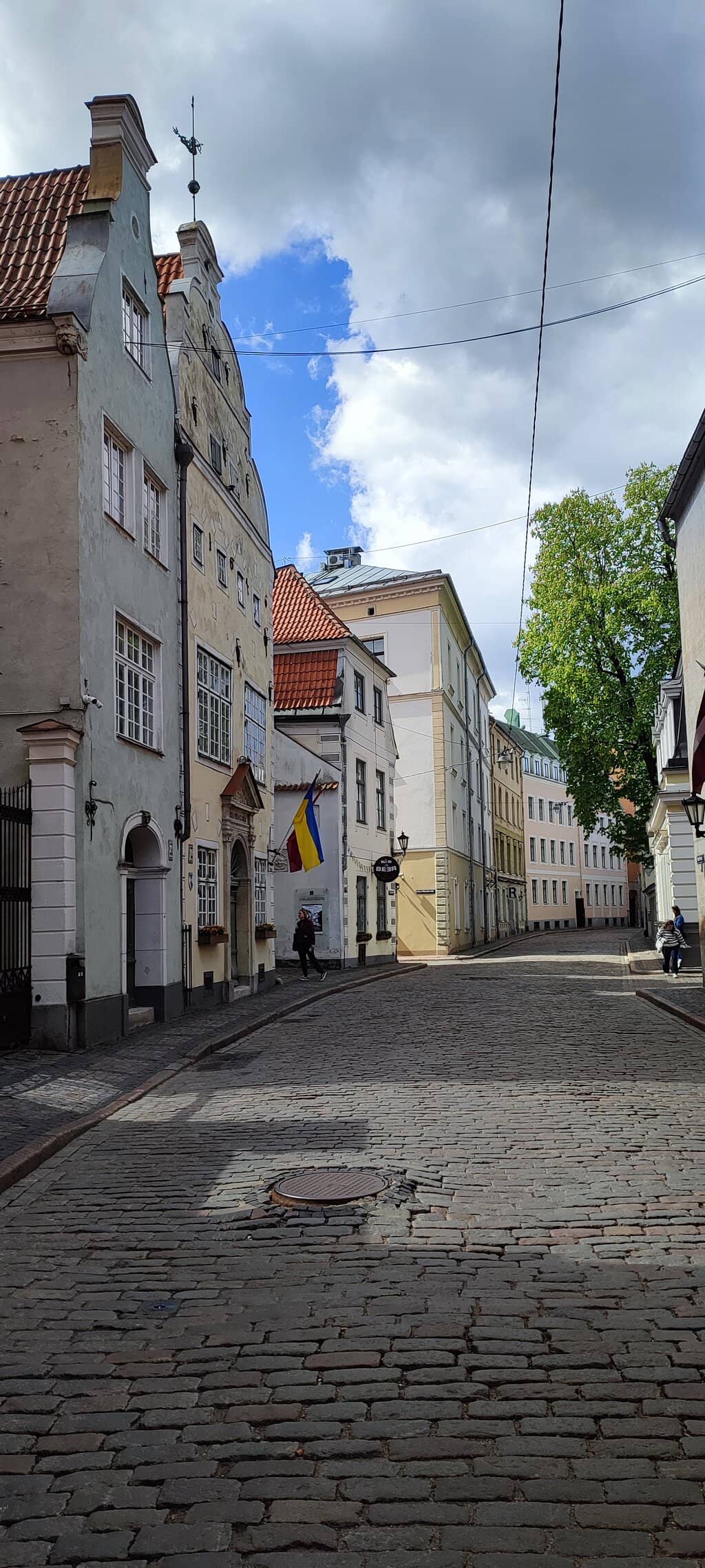 The Middle Brother (No. 19)