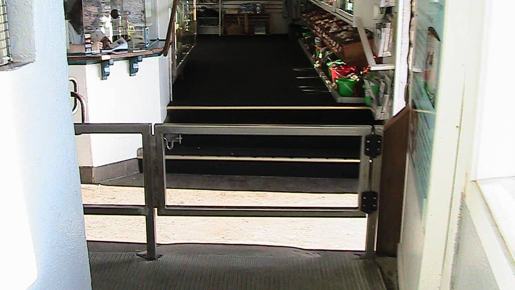 Giant Pacific Octopus