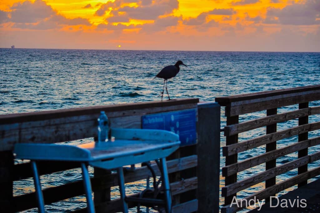 Tigertail Lake Aqua Challenge