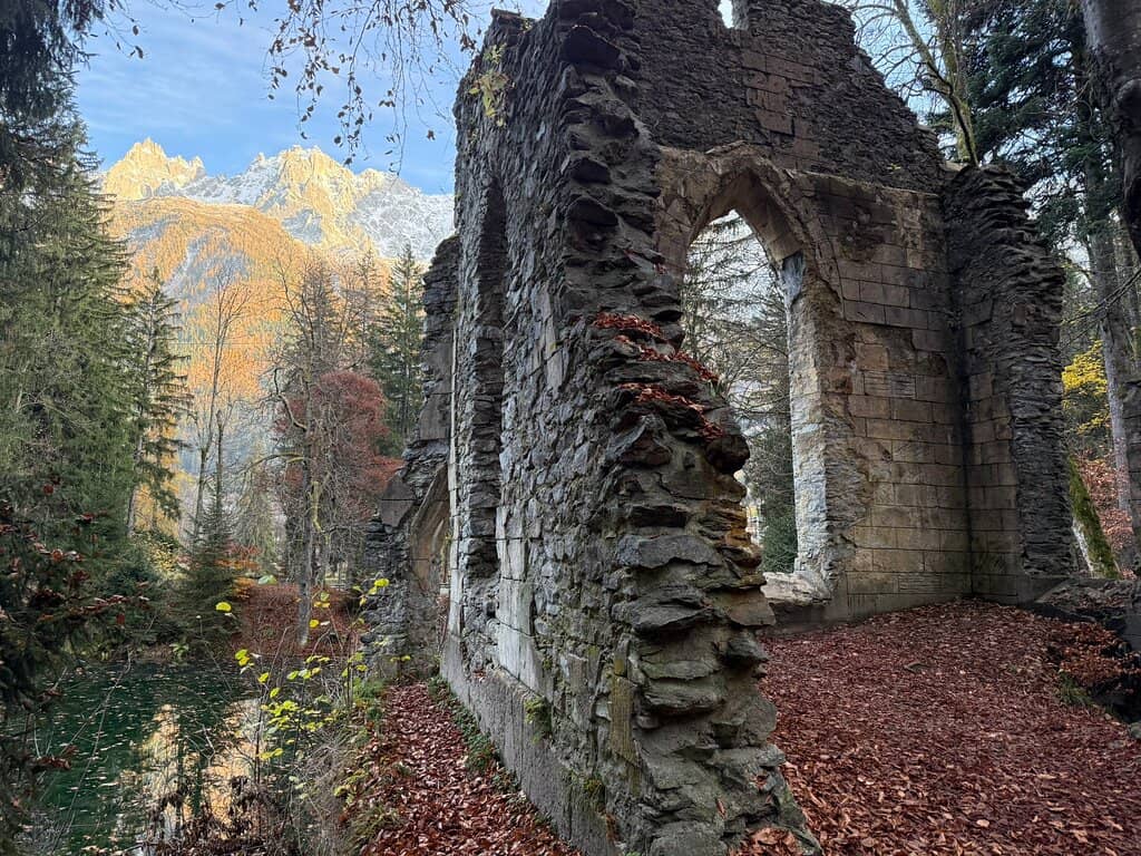 Peaceful Lakeside Strolls