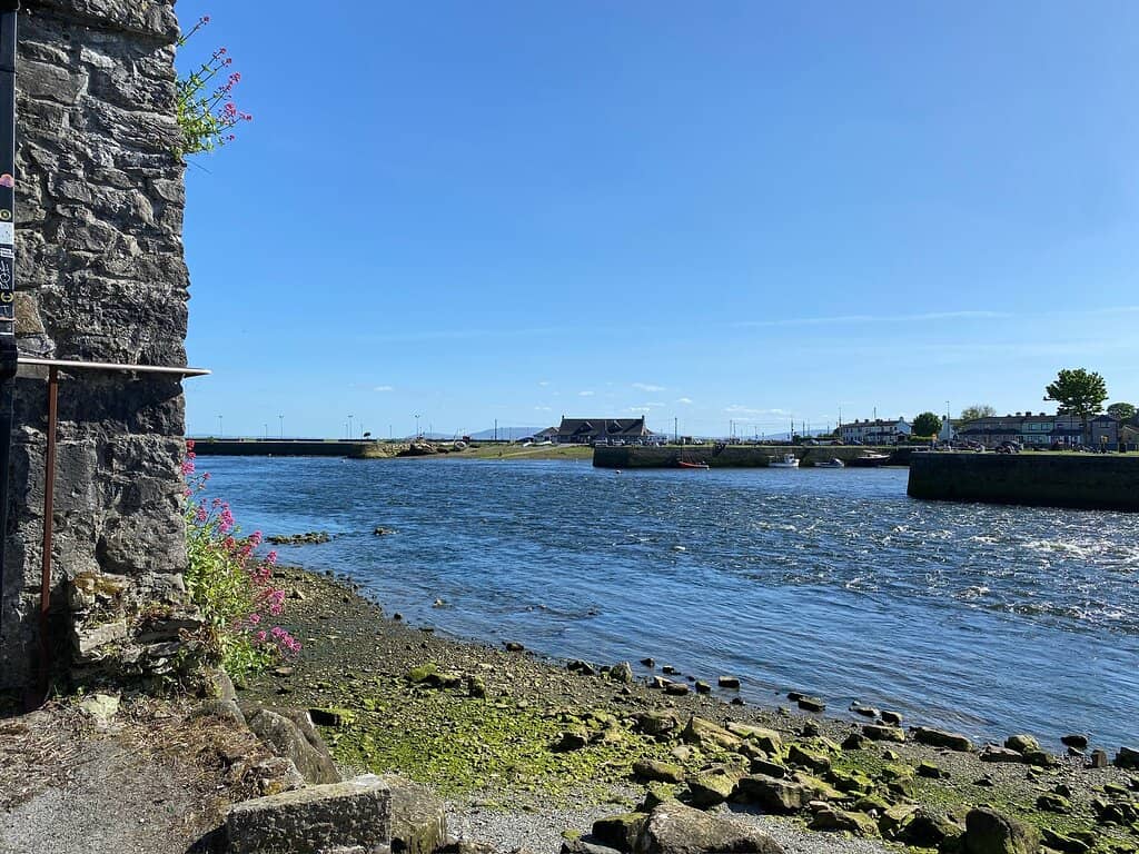 Local Artist Showcase