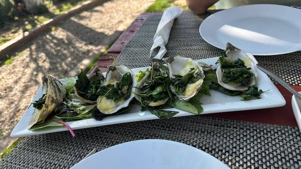 Farm-to-Table Dining