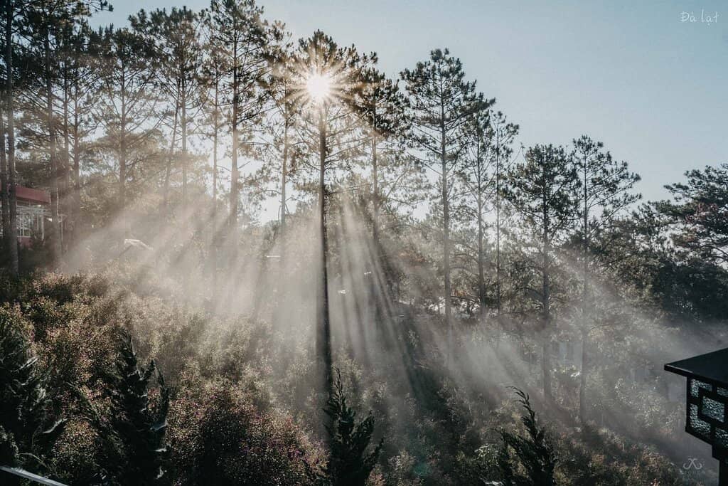 Robin Hill Monastery