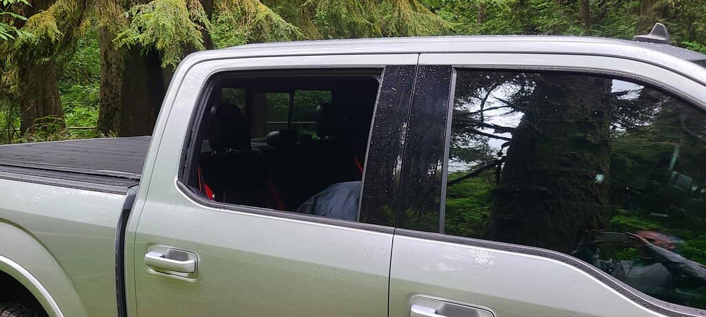 Giant Clover and Banana Slugs