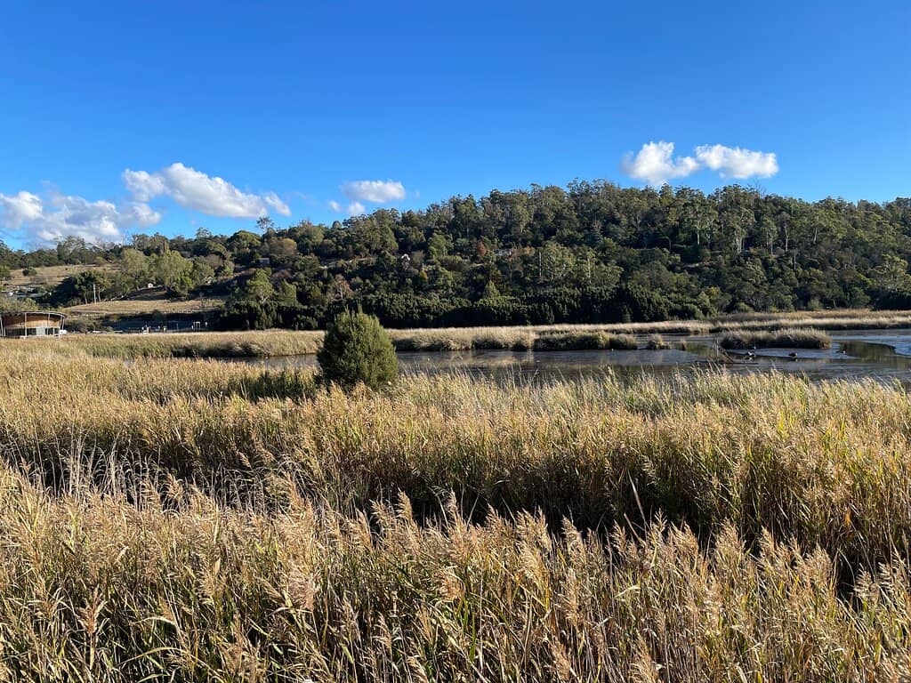 Boardwalk to Tamar Island
