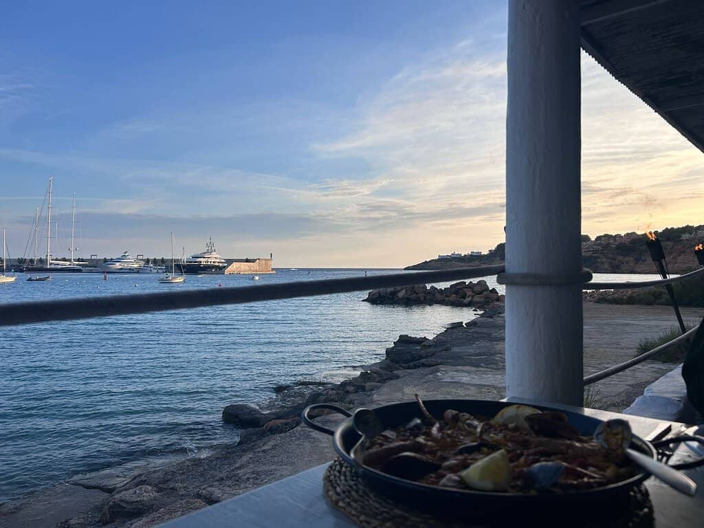 Marine Life Encounters