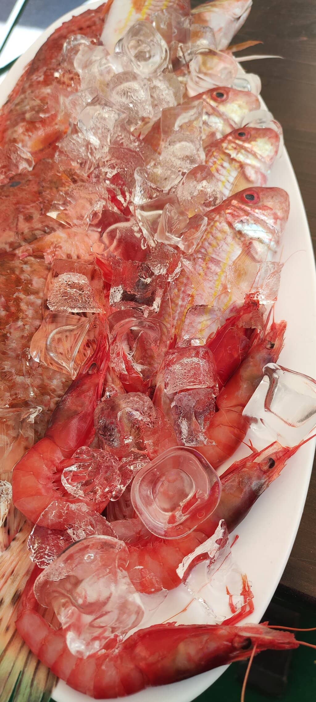 Daily Catch Specials