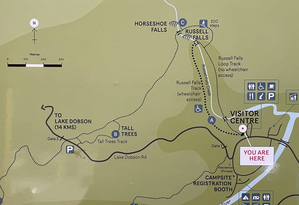 Detour from Russell Falls