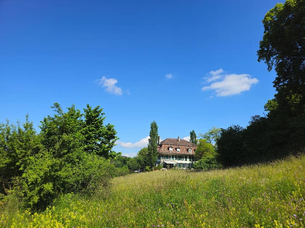 ElfenauPark Restaurant Terrace
