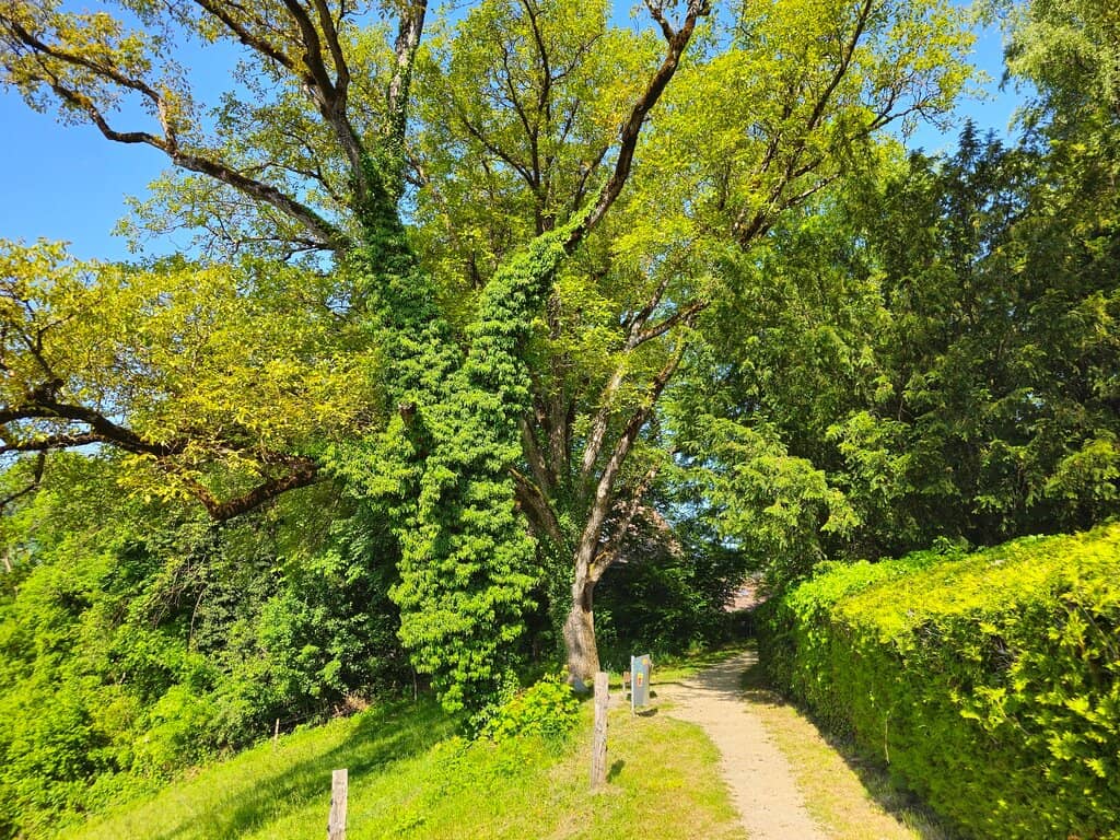 Vertical photo