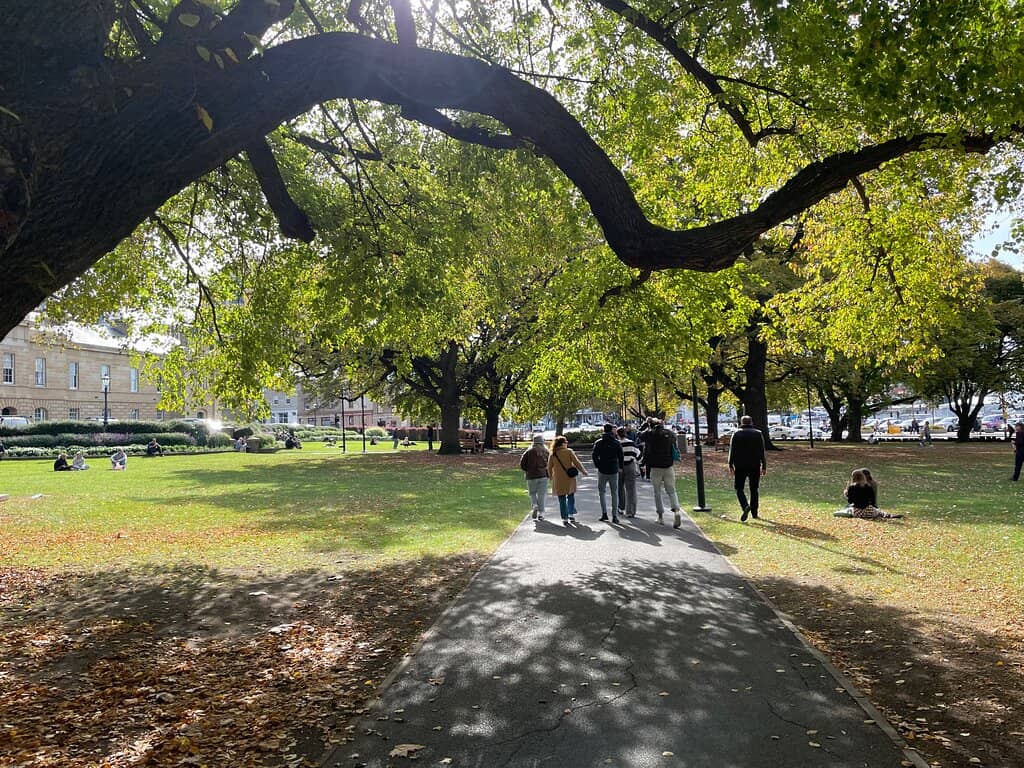 Salamanca Market Hub
