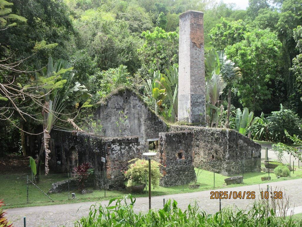 Josephine's Early Life