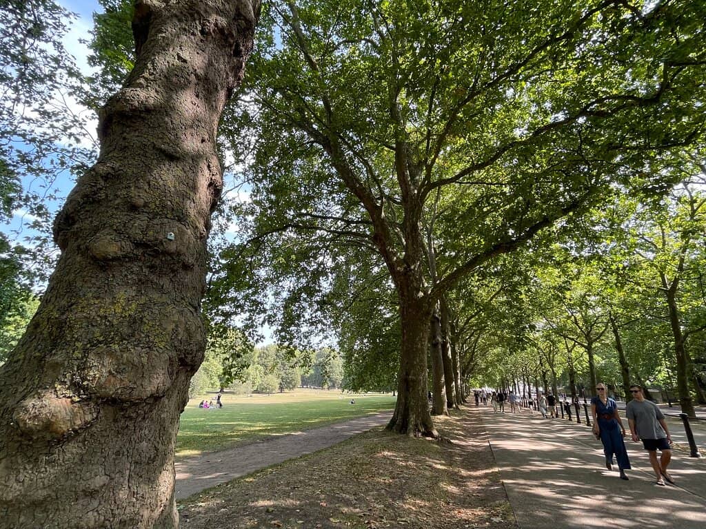The Queen Elizabeth Memorial