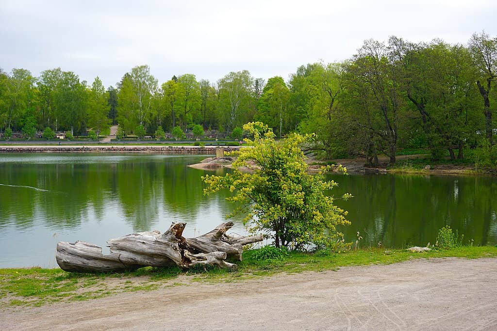 The Unique Cafe Experience