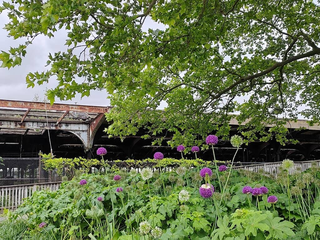 Statue of Liberty Ferry Access