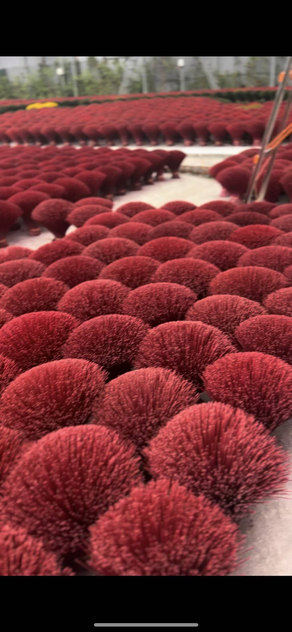 Hat Painting Workshop