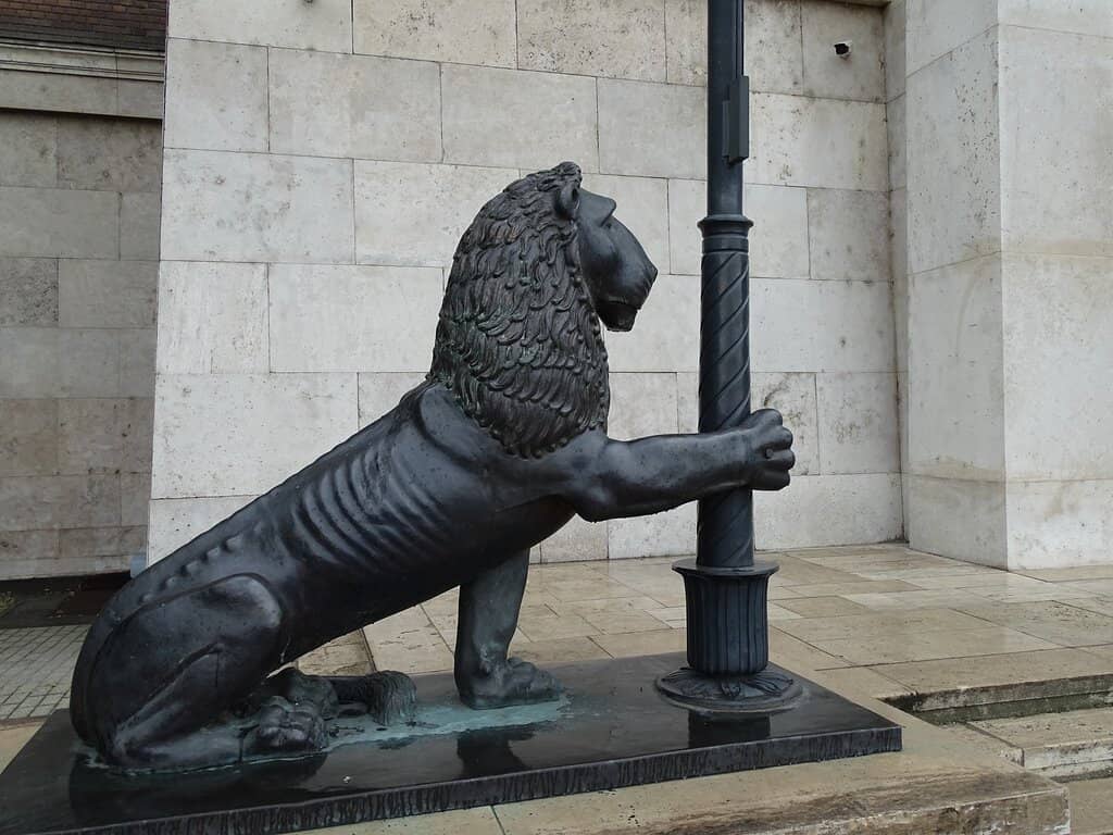 Student Life & Campus Vibe