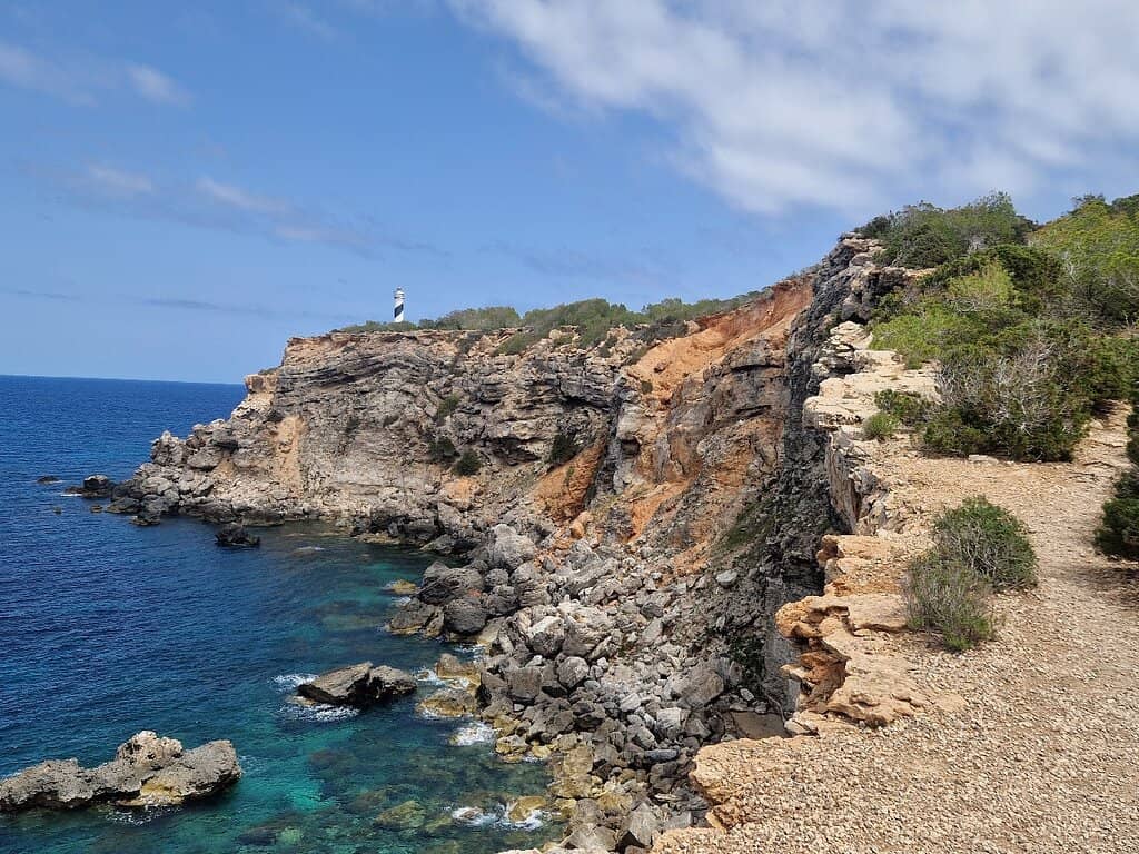 Wooded Walking Trails