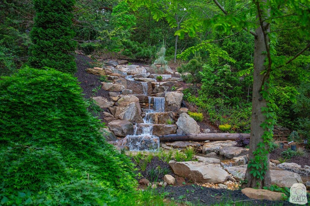 Labeled Tree Collection