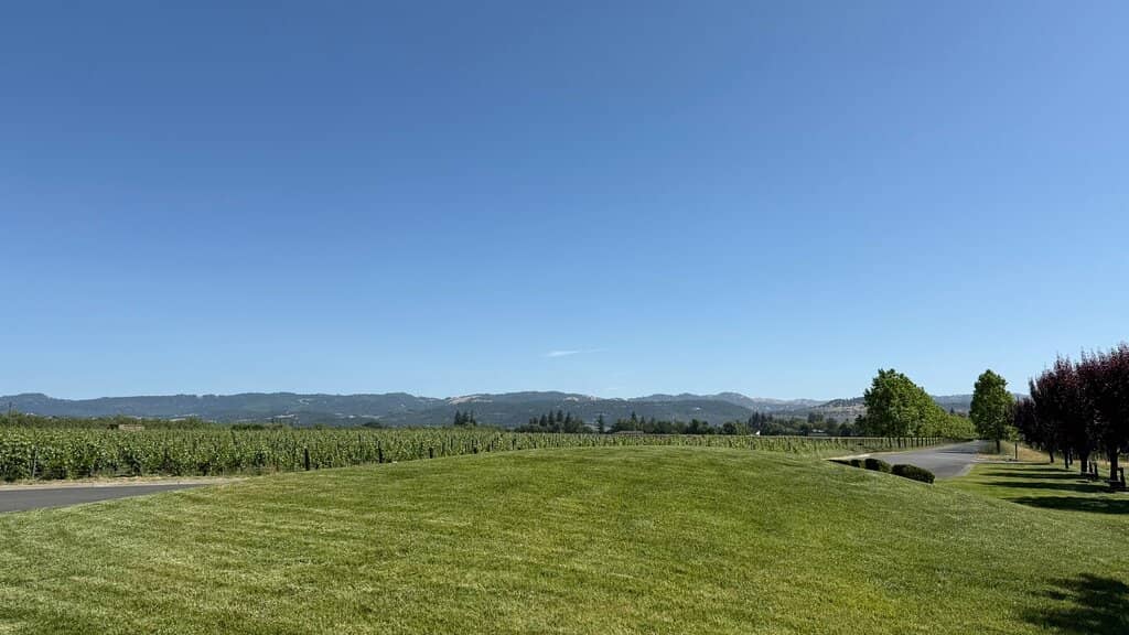 Athenaeum Library & Italia Wine Caves