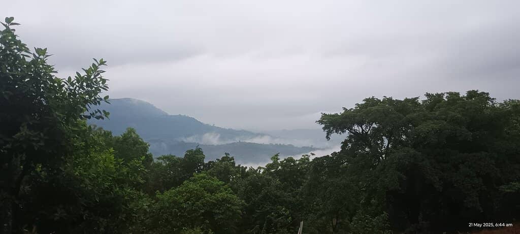 Lush Forest Trek