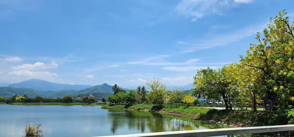 Jogging and Cycling Paths