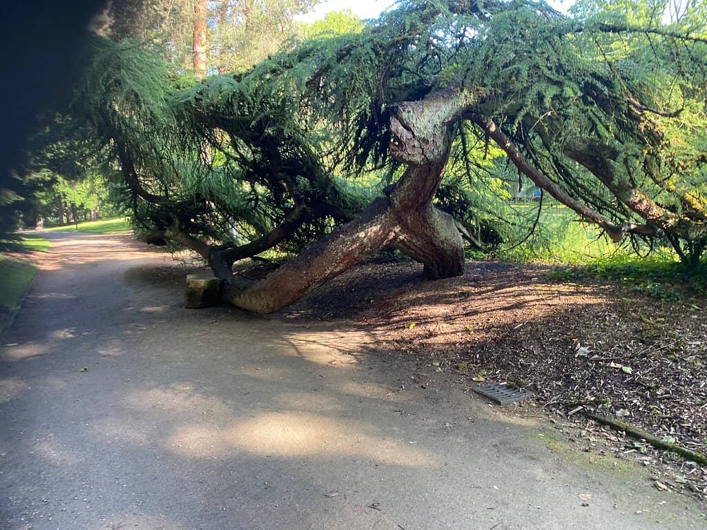Historic Fortress Remnants