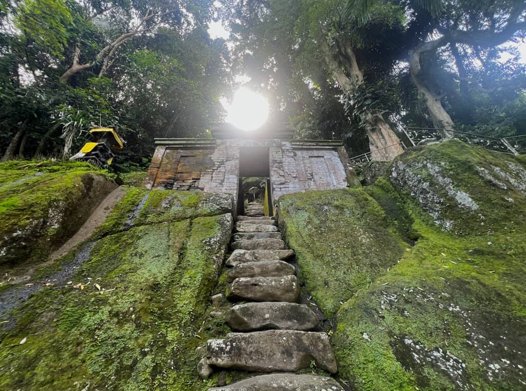 Vertical photo