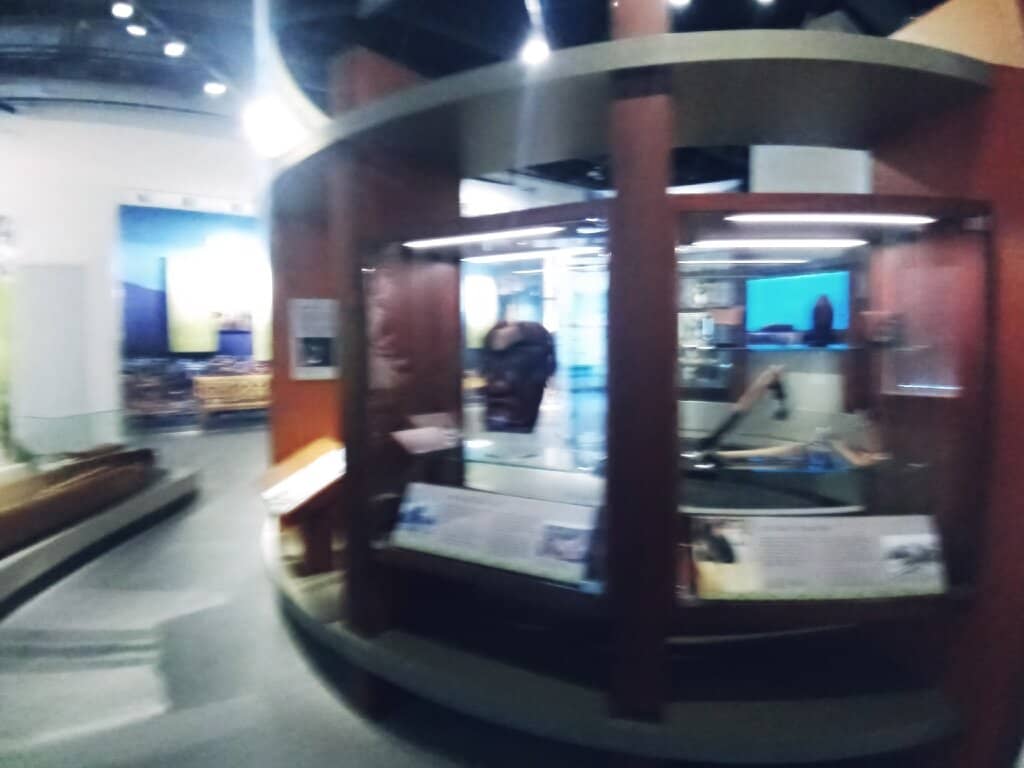 Chief Dan George - Actor and Activist