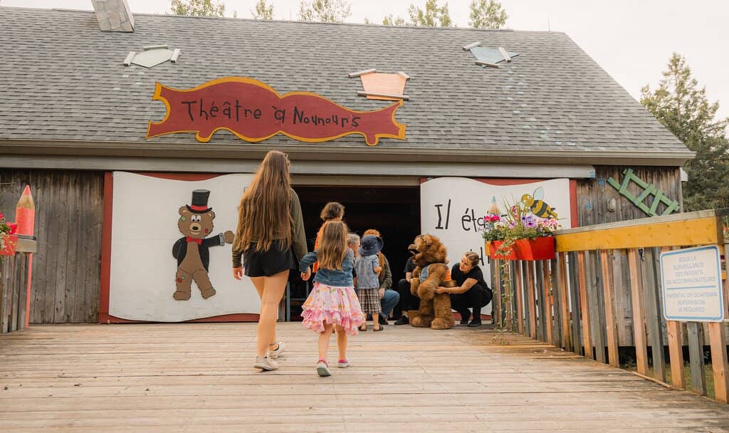 Live Music & Performances