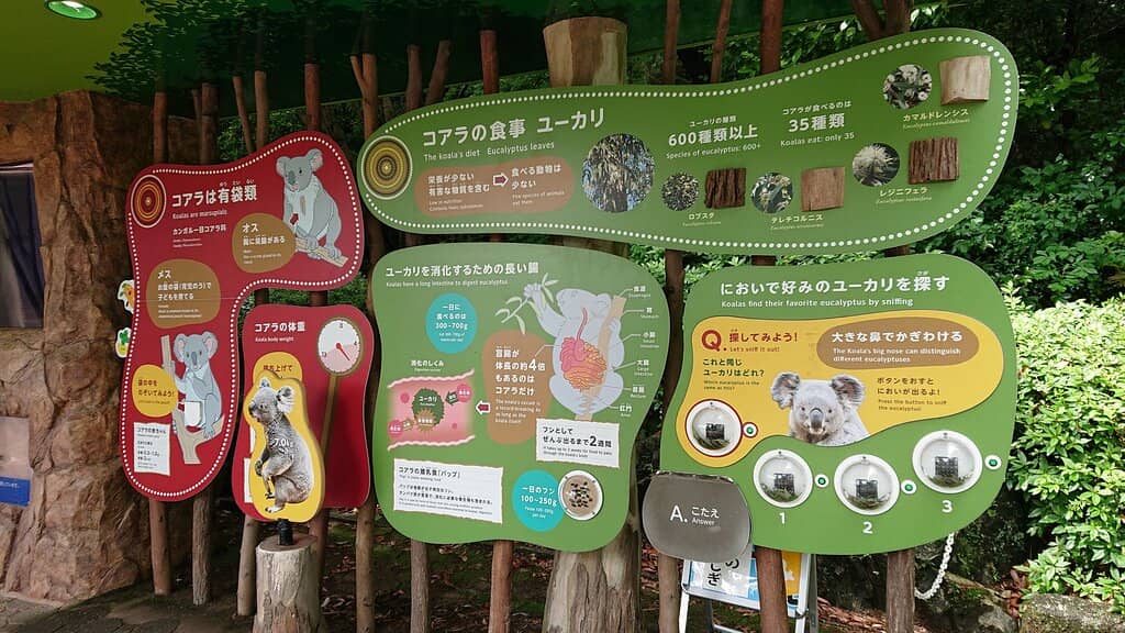 Unique Slope Shooter