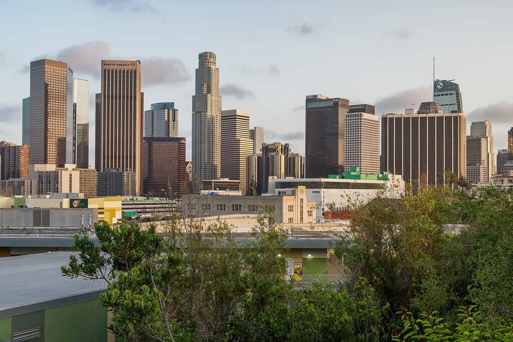 Children's Play Area