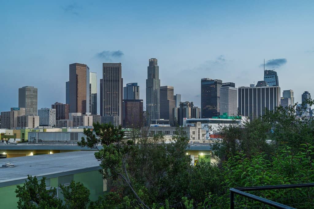 Spacious Grassy Fields