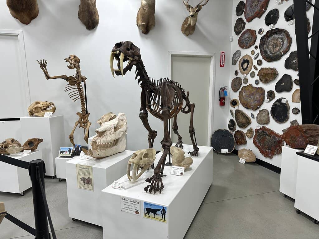 Interactive Exhibits