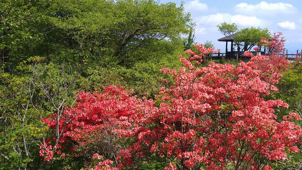 Mount Haruna Ropeway