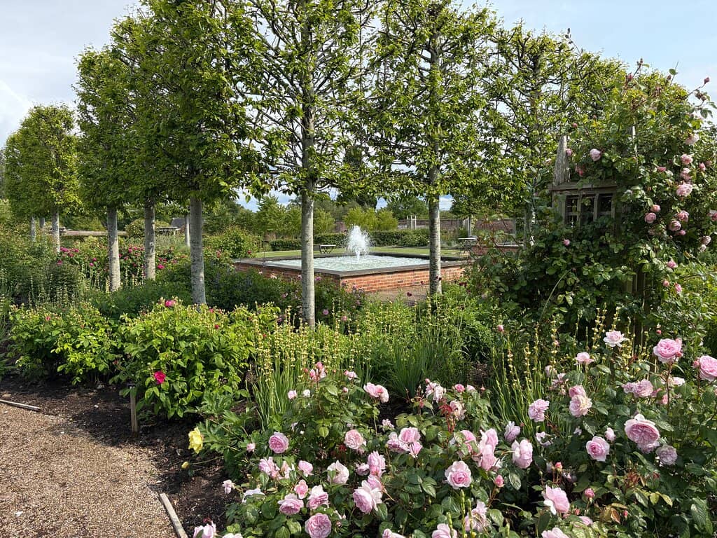 DreamMaze (Seasonal)