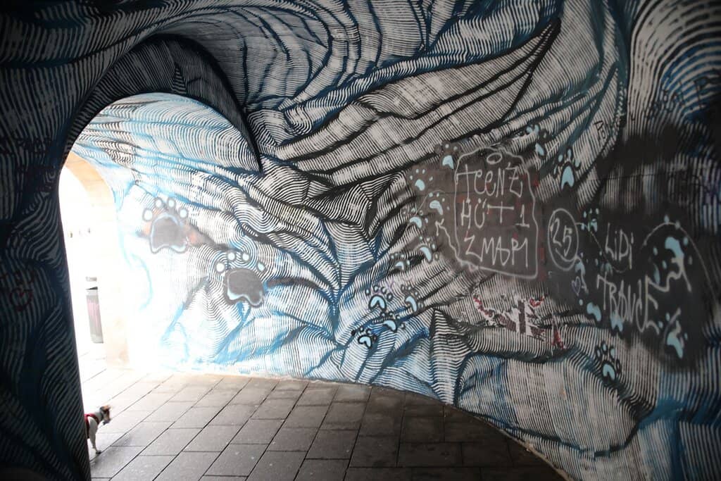 Olomoucké Tvarůžky (Stinky Cheese)